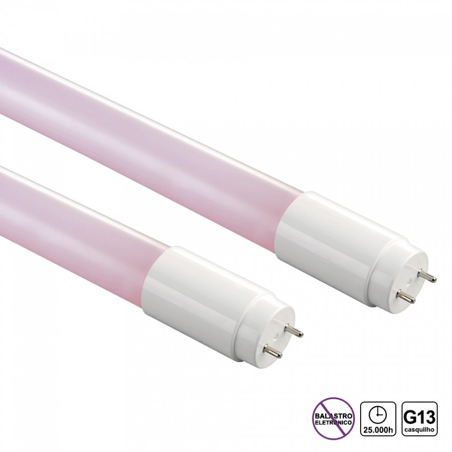 T8 LED  60cm | MEAT